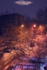 DSC_0447.jpg