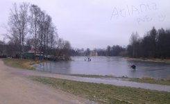Безымfddg6h78.jpg
