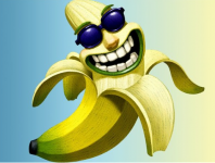 img2.png
