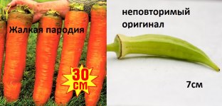 690016dacb08154ad5f2c2688c18f96d.jpg