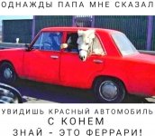 QXKployXGCwааа.jpg