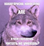 c1021070ace96945a6c0f234896bf546 (1).jpg c1021070ace96945a6c0f234896bf546 (1).jpg