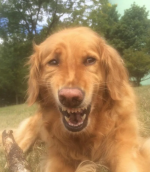 KgLw49I.png KgLw49I.png
