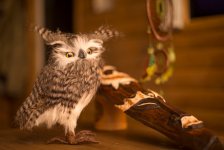 okey_quest_hizhina_shamana_photo1.jpg