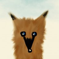 Леди