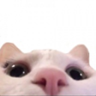 κùζλσρσɡ