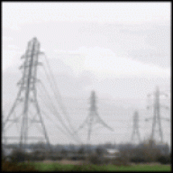Сардина