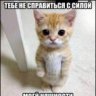 Olivtinka