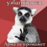 aliendima
