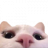 κùζλσρσɡ