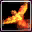 07.webp